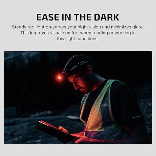 Root Deep Spotlight