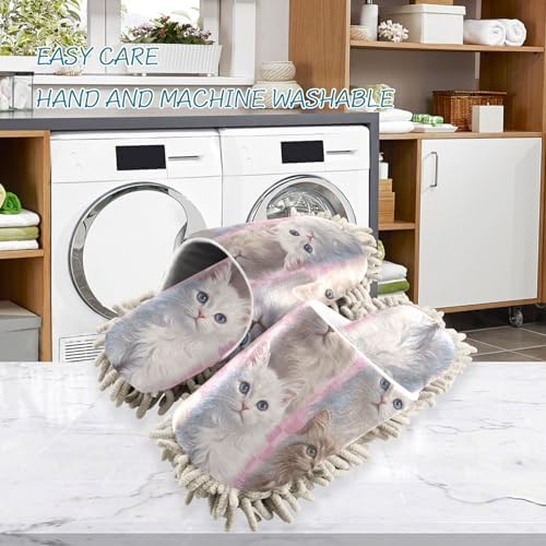 Great Value for Cats and Humans