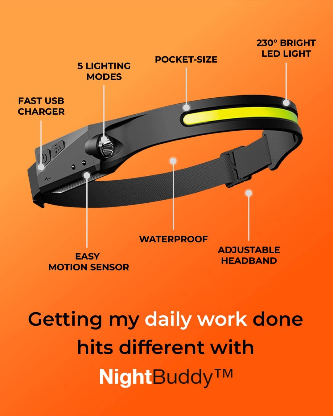 Sturdy Highlight -